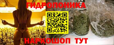 apvp Бузулук
