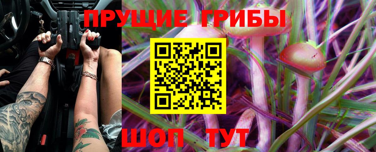 Назарово  Псилоцибиновые грибы мицелий  Псилоцибиновые грибы ЛСД  Вход с VPN 